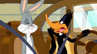 Looney Tunes Show  4tzvyi2plxm8_t